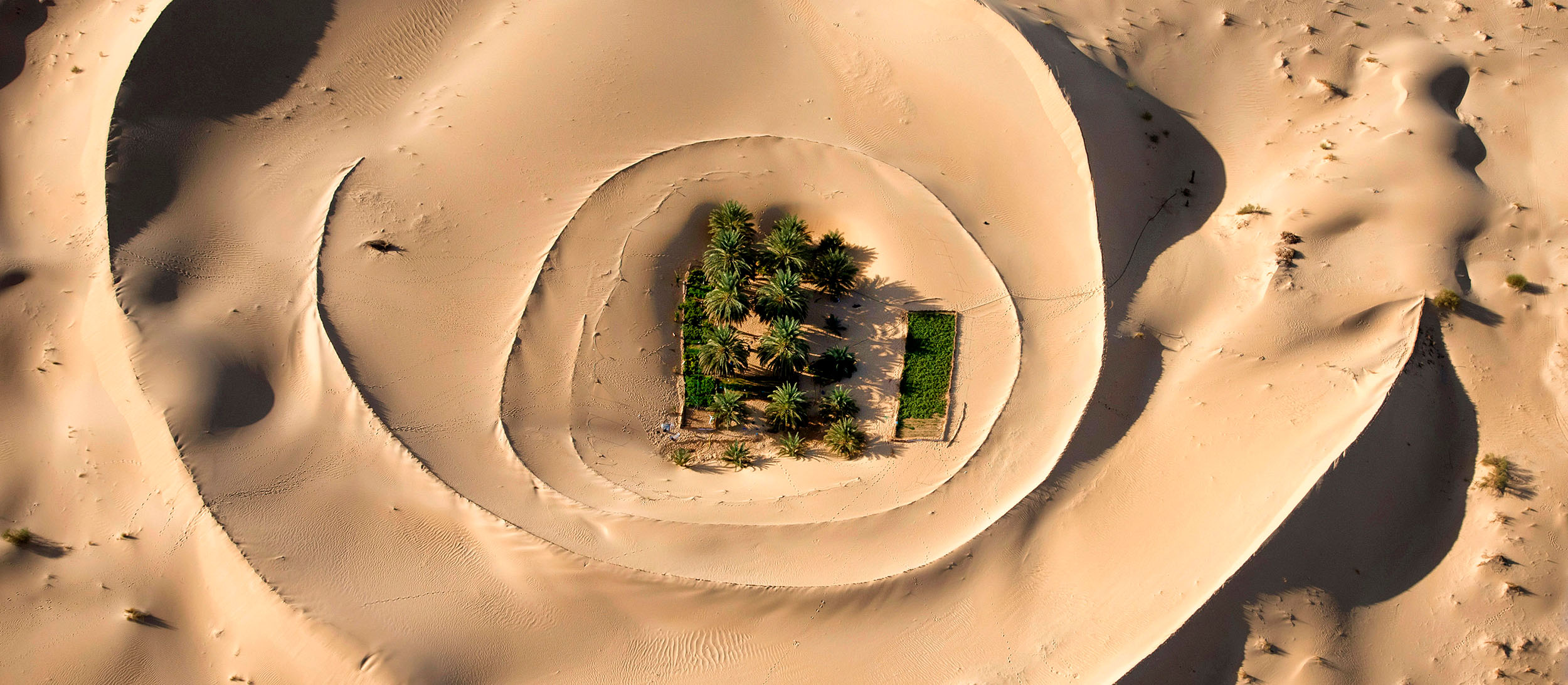 El Oued Oasis
