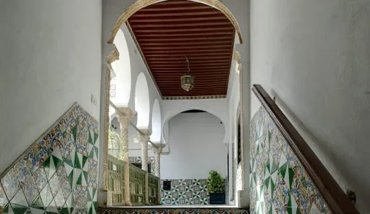 Casbah & Modern Algiers