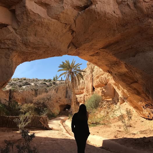 El Oued Oasis gallery 2