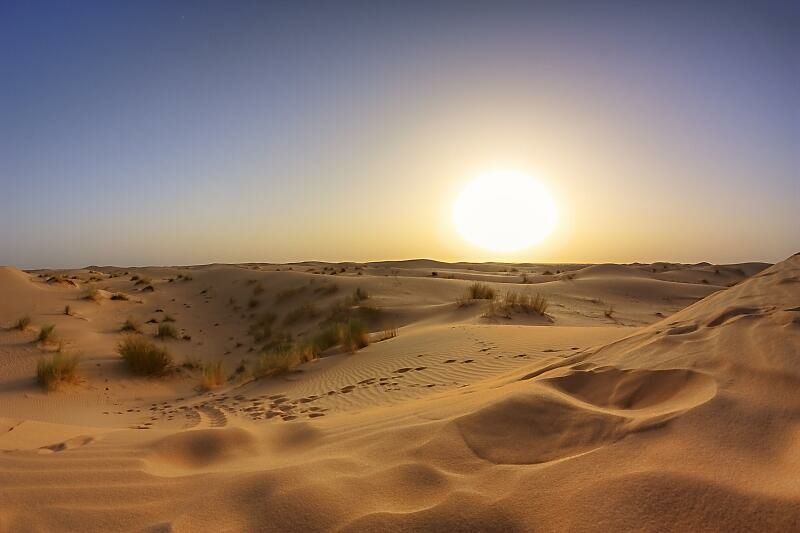 El Oued Oasis gallery 3