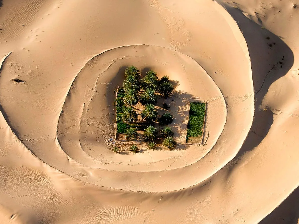 El Oued Oasis