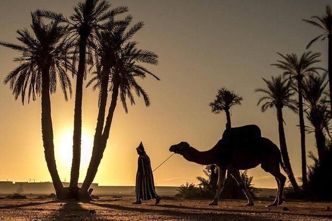 M'zab Valley Ghardaia gallery 1