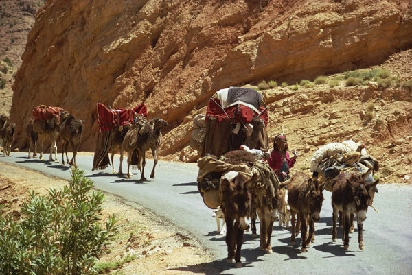Atlas Mountains Trek gallery image 2